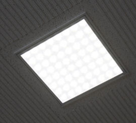 eco_img001