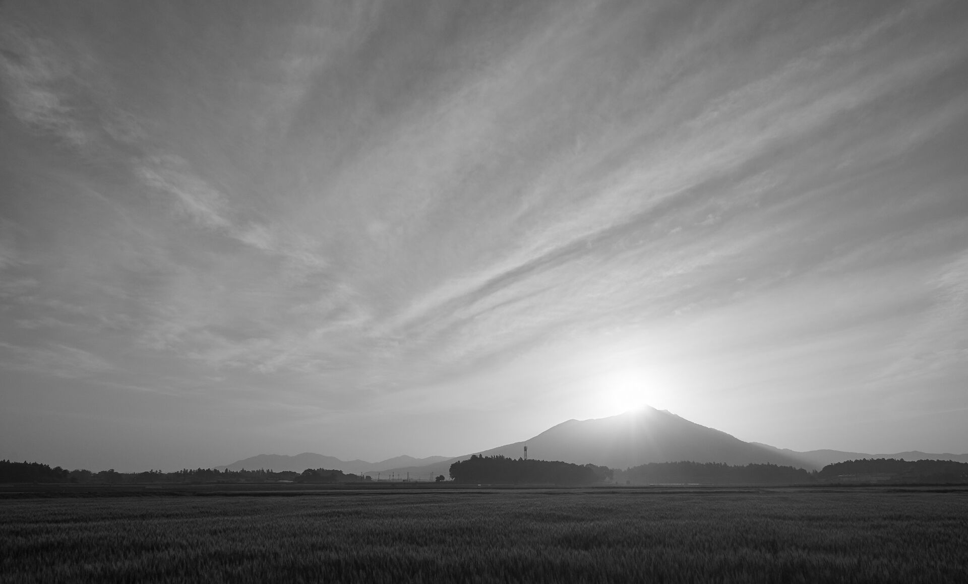 AdobeStock_316529288-2000px